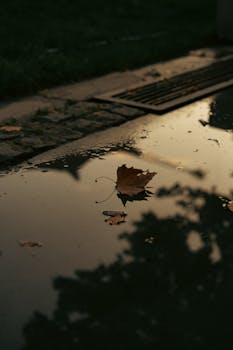 A solitary autumn leaf floating in a puddle captures the essence of fall reflection.