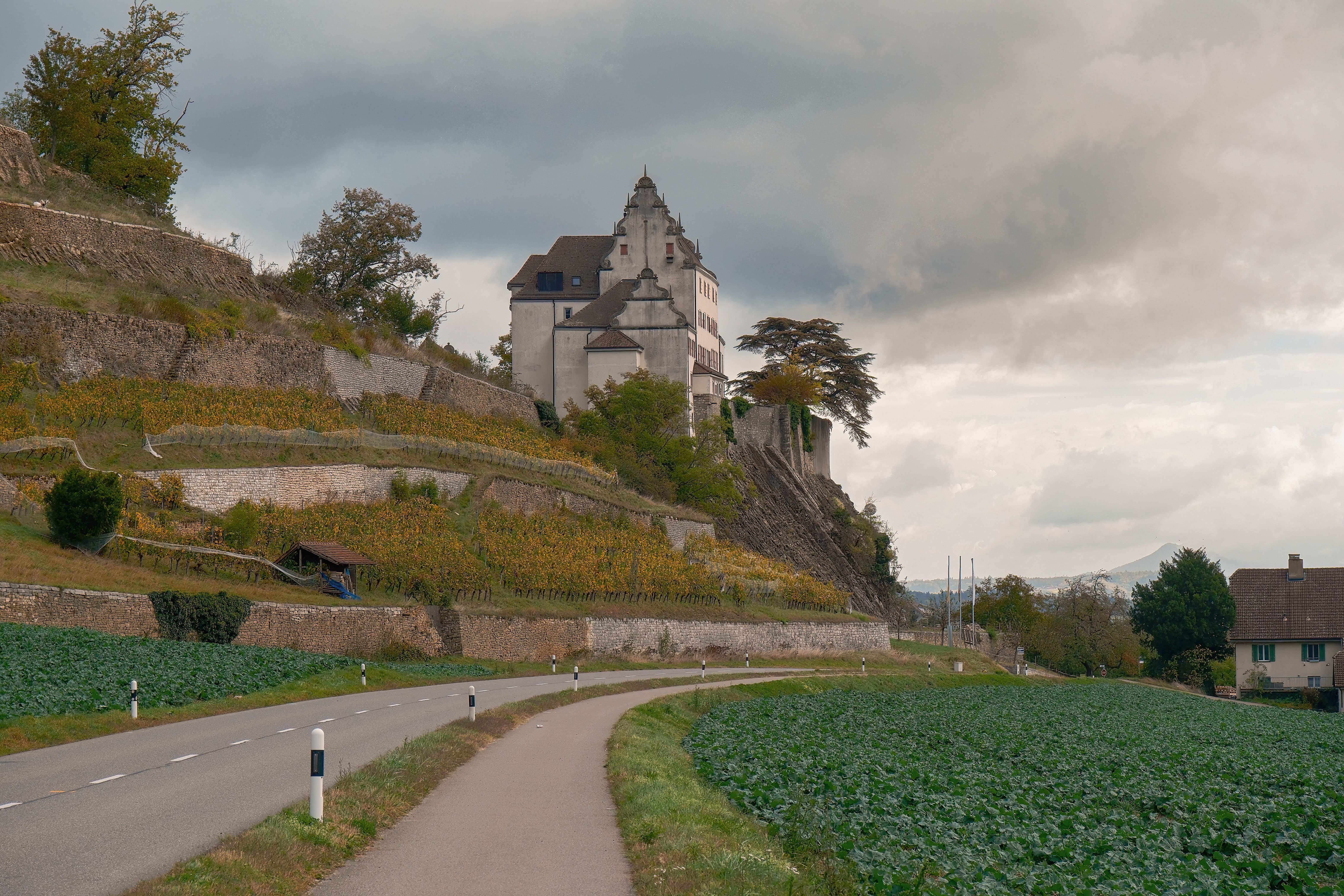Hrad Karlštejn s vinicemi