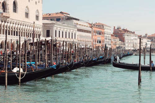 Gondolas Moored in Canal in Venice