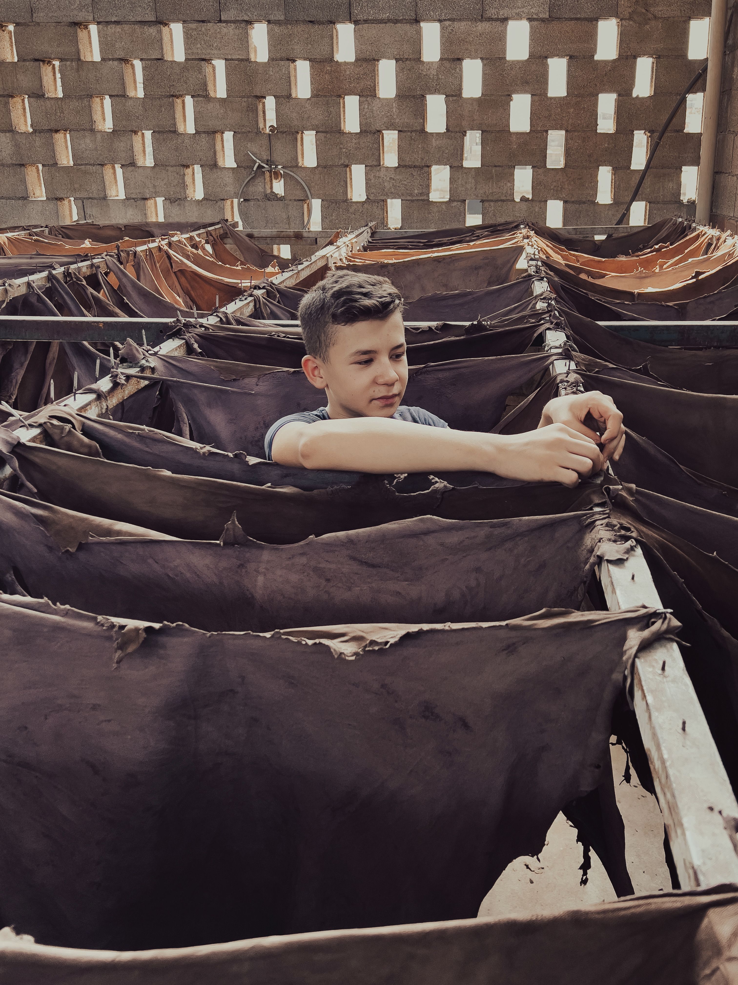 Tanner Hanging a Hide on a Drying Rack · Free Stock Photo