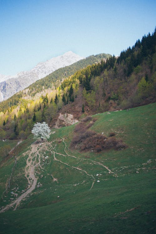 Scenic View Of MOuntains