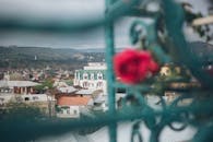 迷人的城市景观，以模糊的花卉前景为屋顶框架，环境宁静