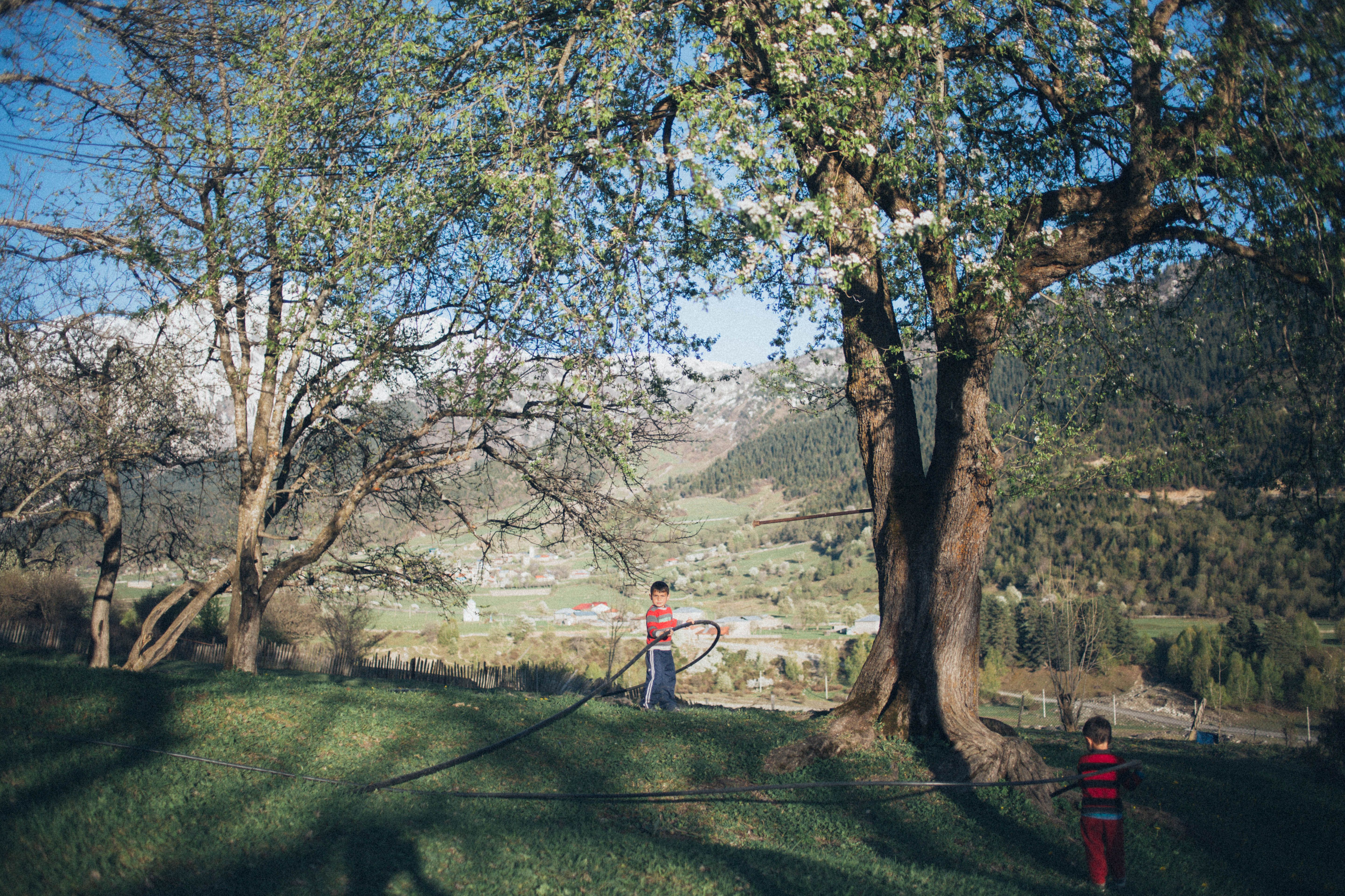 Two children play with a hoop under a large tree with a scenic mountain backdrop.