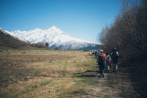 People Walking on Trail