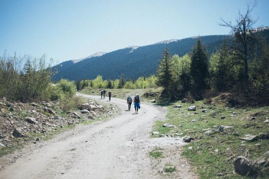 春日明媚，一群徒步旅行者沿着风景如画的山路徒步