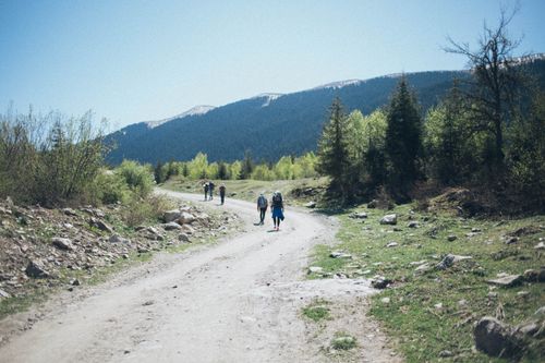 Free A group of hikers trekking along a picturesque mountain path on a bright spring day. Stock Photo
