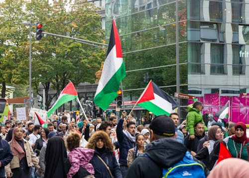 Gratis stockfoto met bevrijd palestina, palestina, palestina vlag