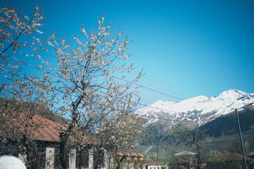 View of Snow Capped Mountain Near Village