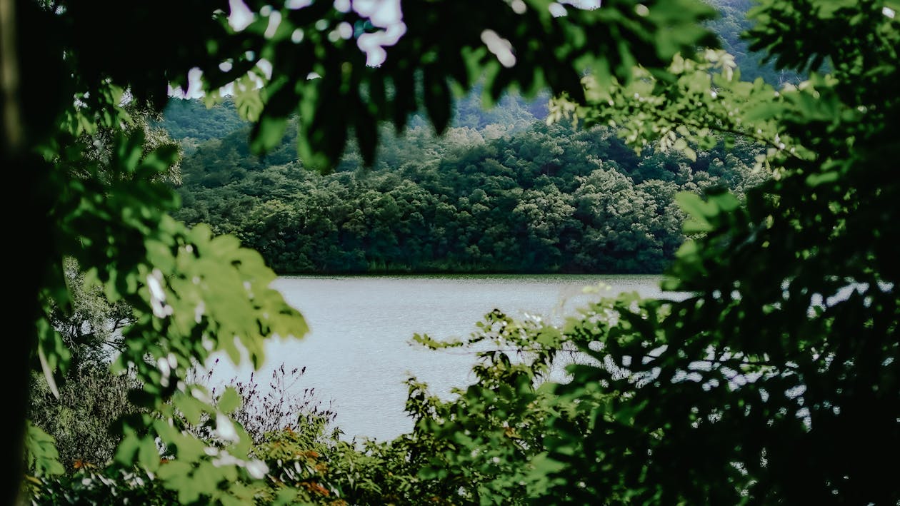 Photos gratuites de beauté de la nature, estival, l'eau du lac