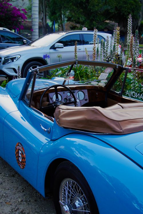 Free Classic blue Triumph convertible parked outdoors with floral surroundings, showcasing elegant design. Stock Photo