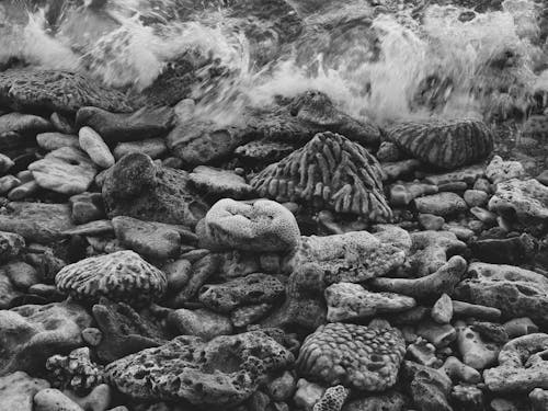 Rocks on Sea Shore in Black and White