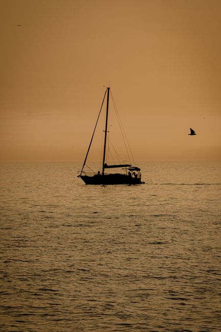A silhouette of a sailboat during a golden sunset over Istanbul's tranquil waters.