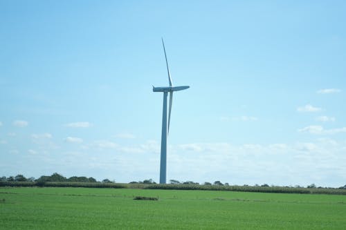 Foto profissional grátis de cata-vento, energia, energia eólica