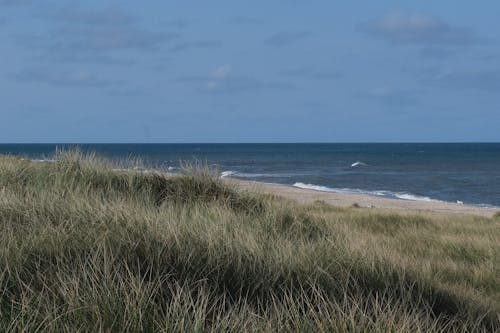 Foto profissional grátis de Dinamarca, duna, mar