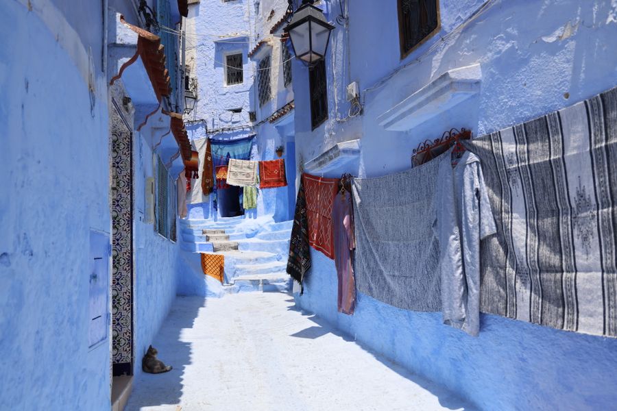 12-Day Morocco Grand Tour from Casablanca: Cities, Sahara & Coast Gallery 1