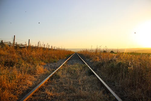 Sunset Sunlight over Railway on Grassland