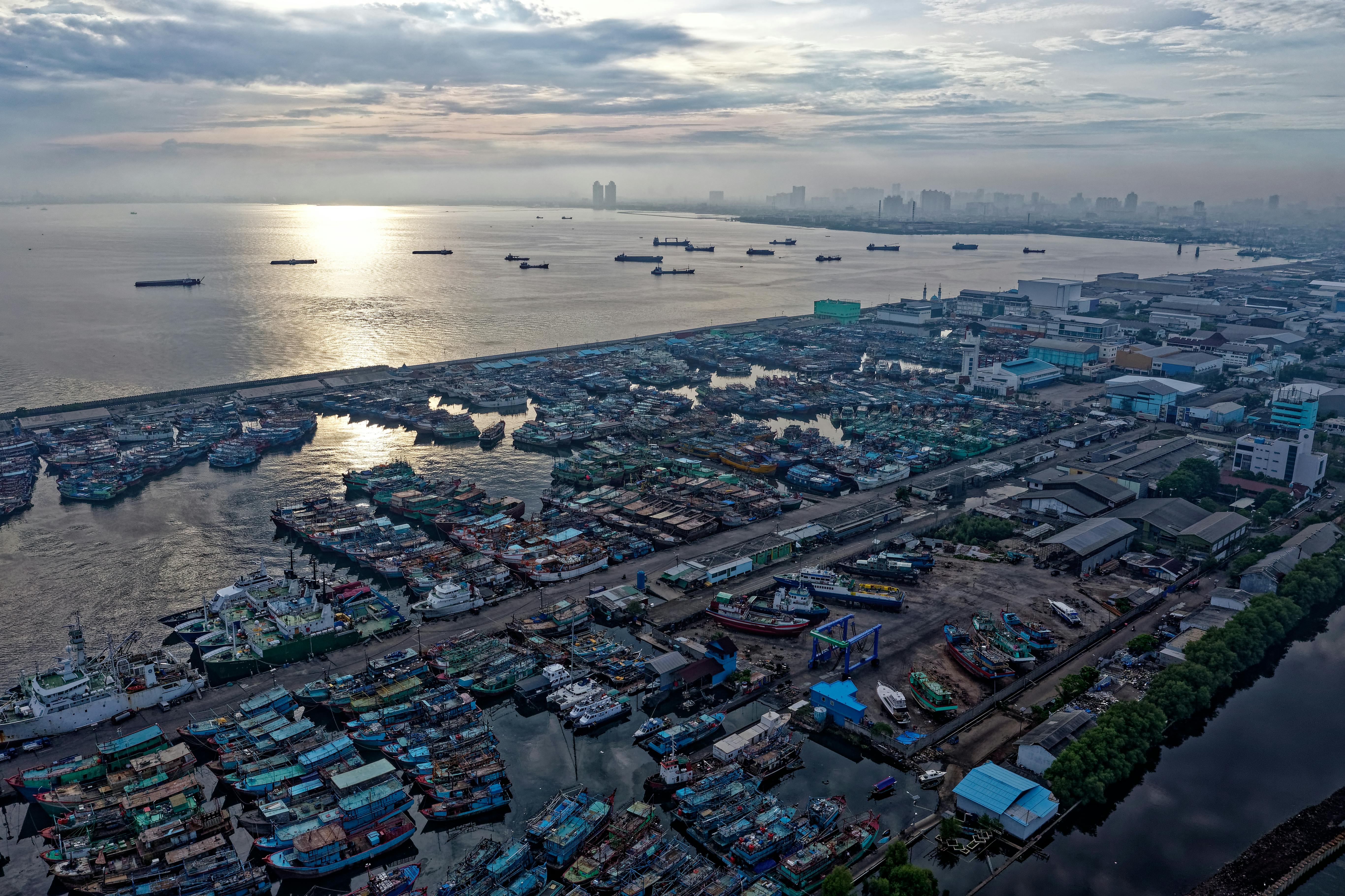 aerial view photography of boats