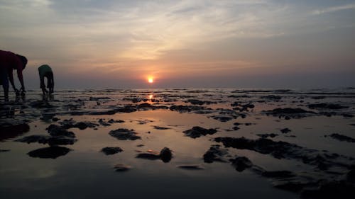 Free stock photo of sunset beach