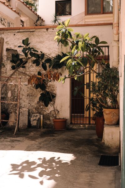 Sunlit courtyard with potted plants and leaf shadows, photo by Alina Chernii on Pexels