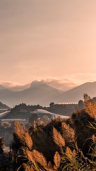 Peaceful mountain landscape at sunset with warm tones and natural scenery.