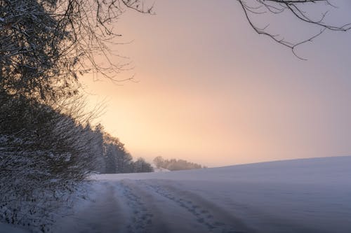 Winter Landscape at Dusk 