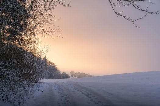 Tranquil winter scene with a snow-covered path and trees during sunrise, capturing nature's quiet beauty.