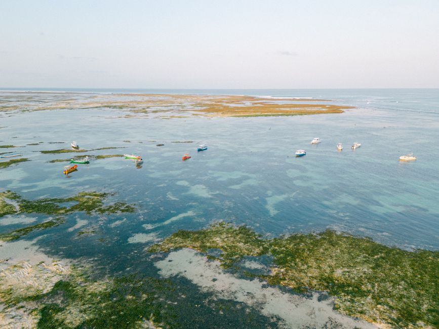 Aerial view showcasing boats anchored on a serene coastal seascape with vibrant waters.