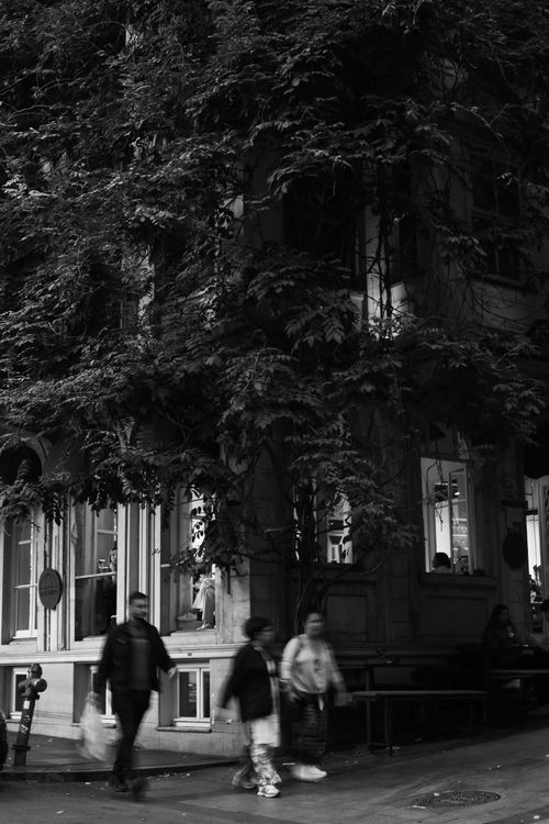 Free Detailed monochrome street scene at a city corner with pedestrians and foliage. Stock Photo