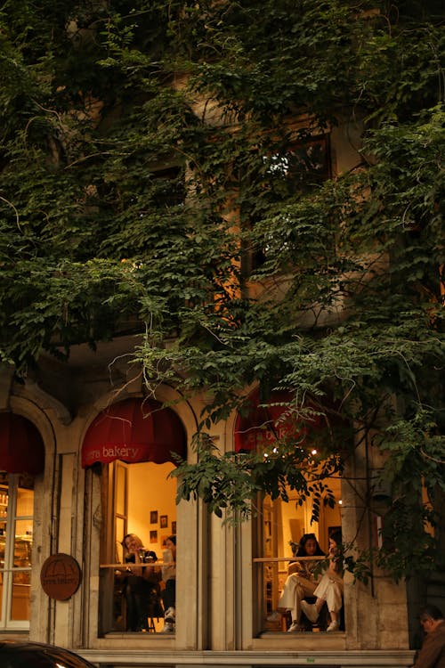 Ivy on Wall of Bakery and Cafe in Istanbul