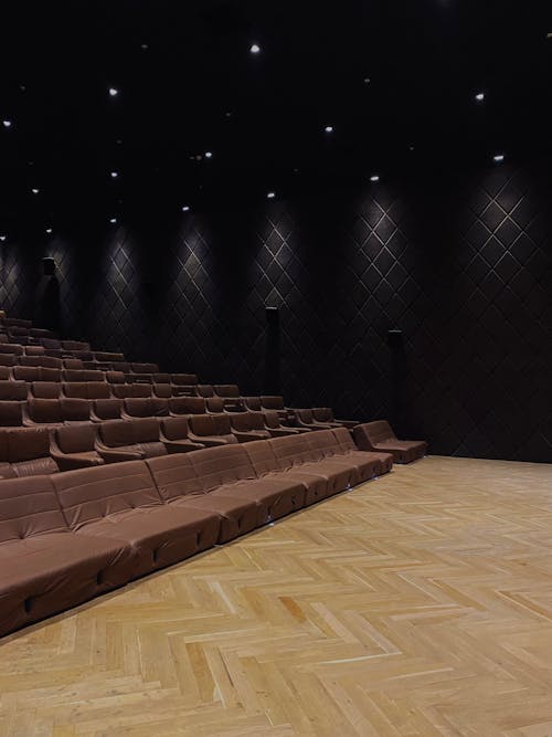 Foto d'estoc gratuïta de auditori, cinema, cuir