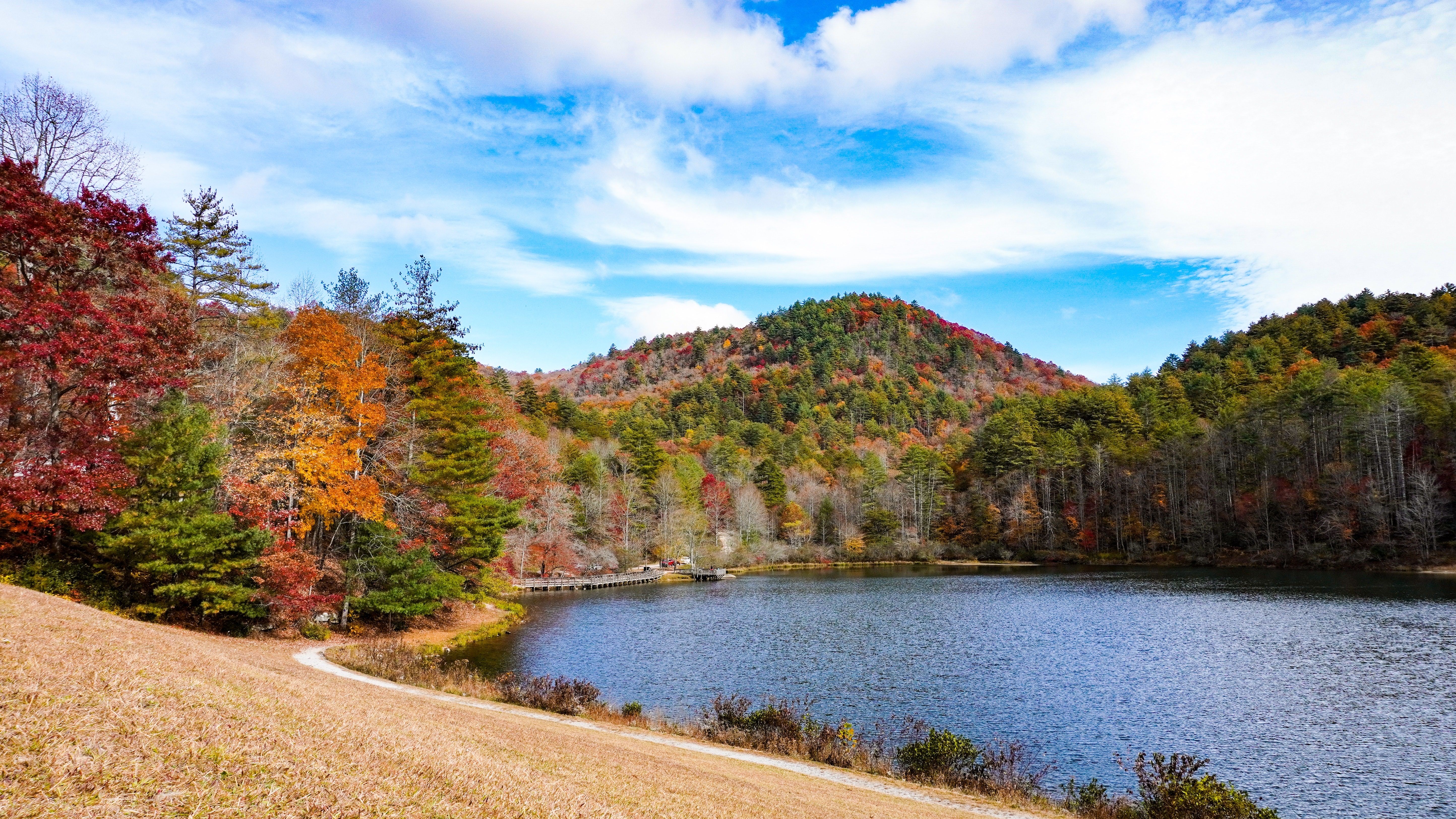 Lake Surrounded by Colorful Forest in Autumn · Free Stock Photo
