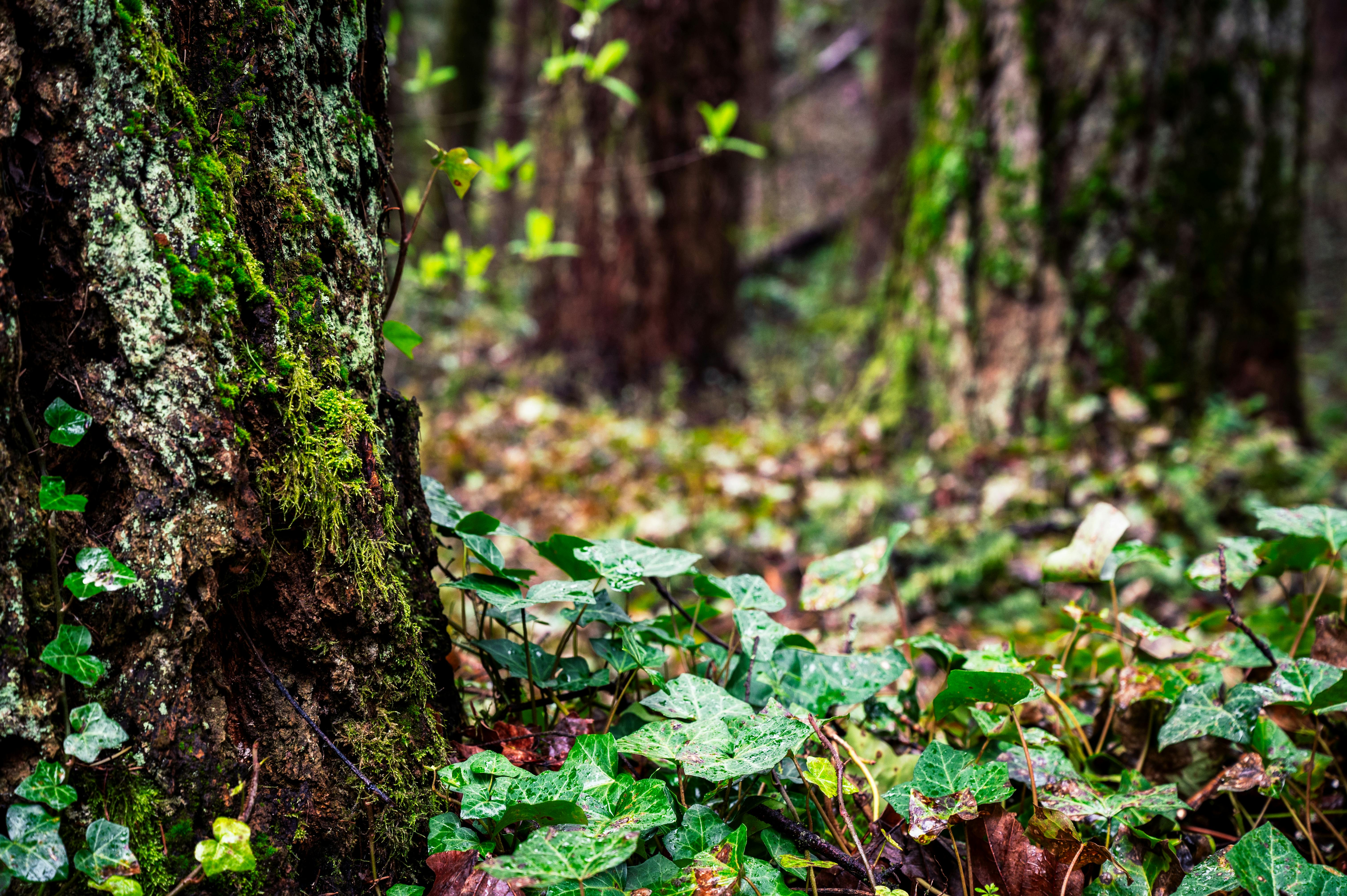 Washington First-Time Homebuyer Programs 2026: Grants & Help