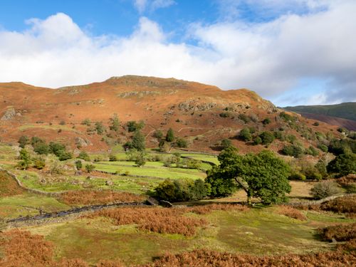 Free Picturesque countryside landscape featuring autumn hues, rolling hills, and vibrant greenery under a bright sky. Stock Photo