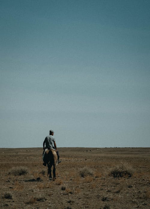 Foto stok gratis binatang, laki-laki, menunggang kuda