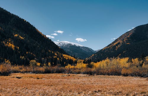 Mountain Valley Landscape in Autumn