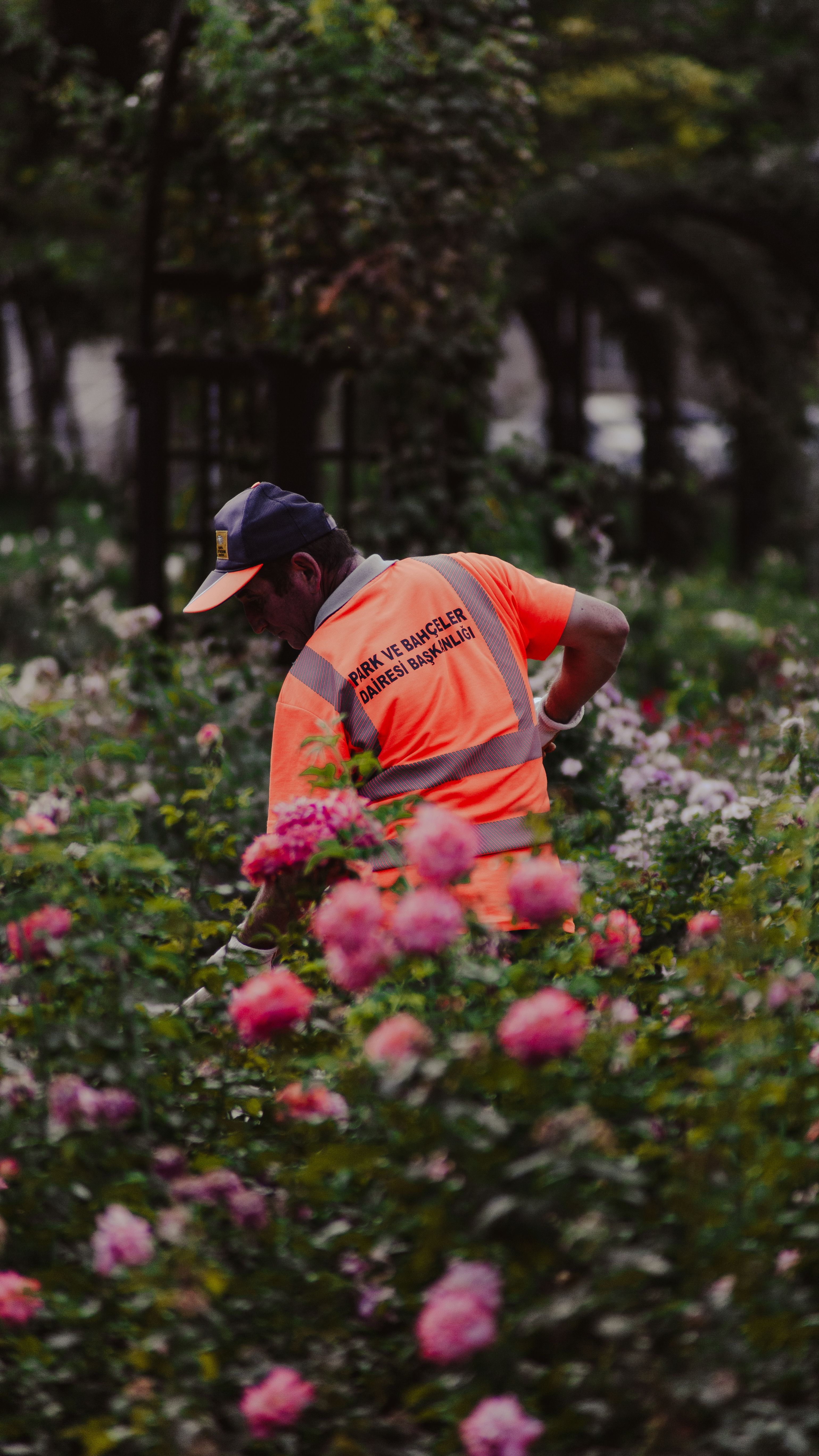 Gardening
