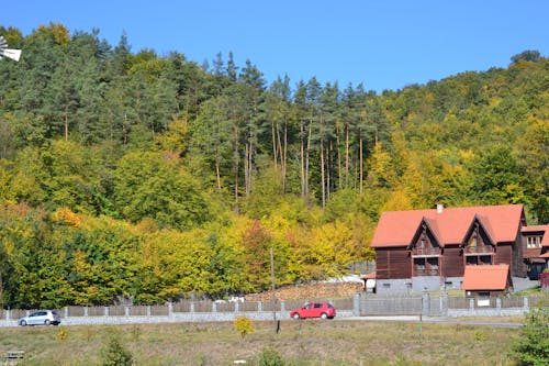 House in Village in Forest