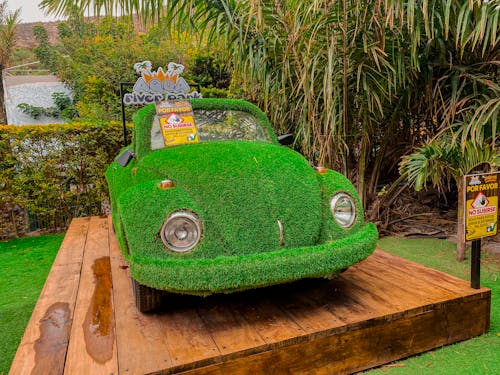 Fotos de stock gratuitas de Beetle, carro, ecuador