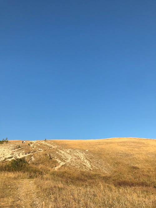 丘, 乾燥, 垂直ショットの無料の写真素材