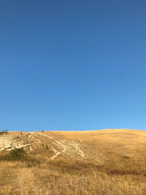 A scenic view of an arid golden hillside with a bright blue sky above, capturing the beauty of nature.