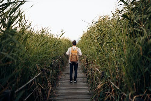 Man with Backpack Standing on Footpath among Rushes