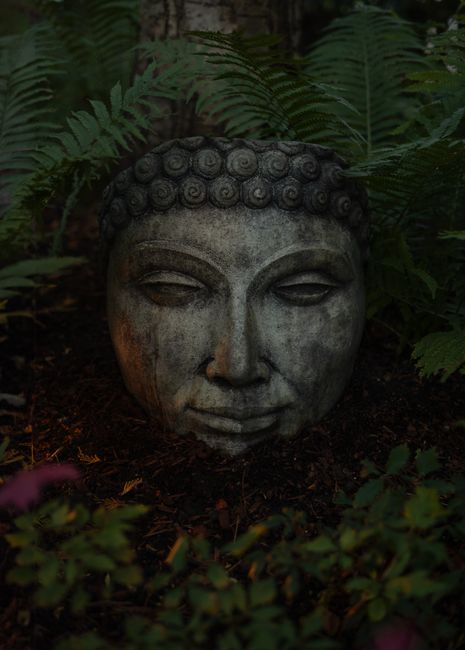 Ancient stone Buddha head surrounded by lush ferns in dim lighting, evoking serenity.