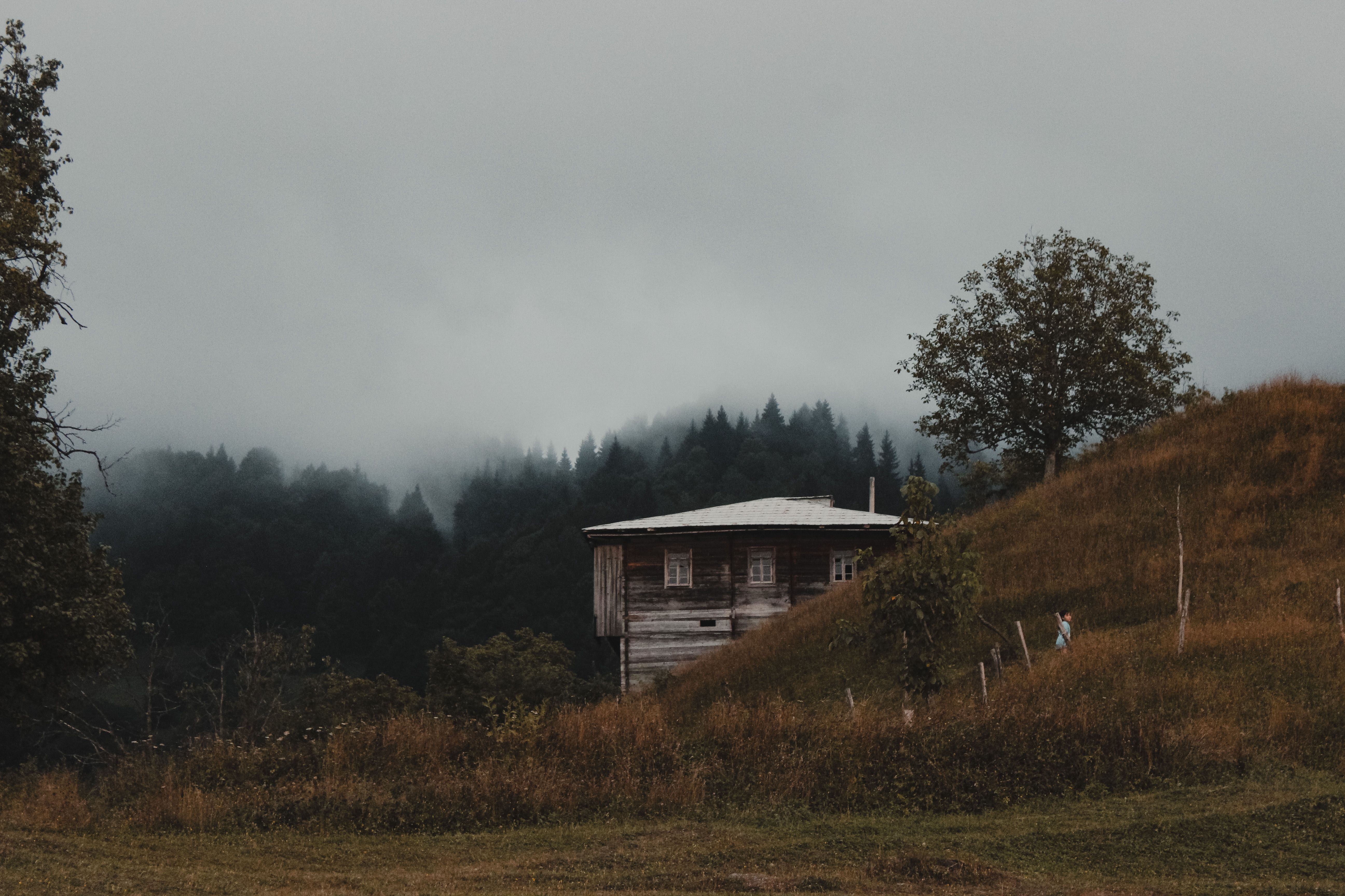 A wooden house amidst a misty landscape in rural Хуло, Georgia, surrounded by lush greenery and trees.