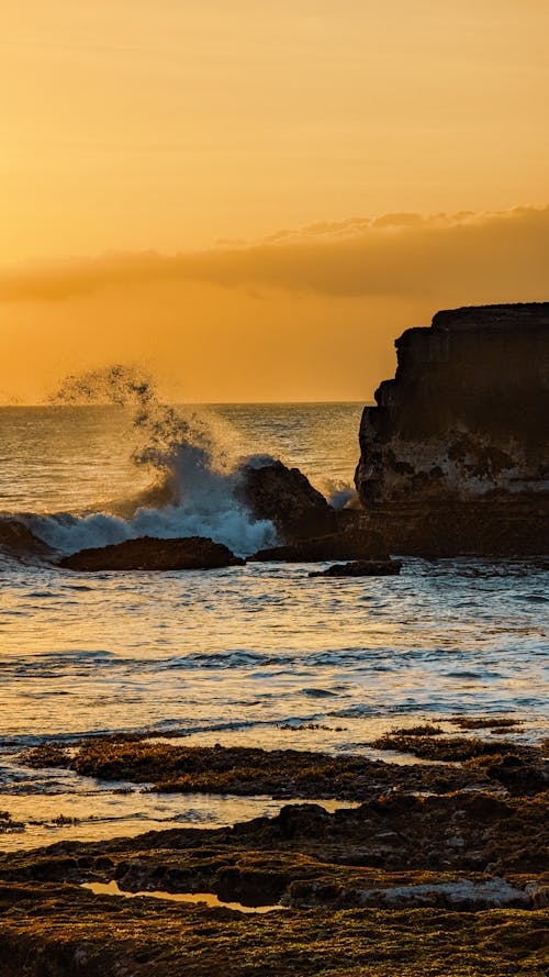 바다, 바위, 손을 흔들다의 무료 스톡 사진