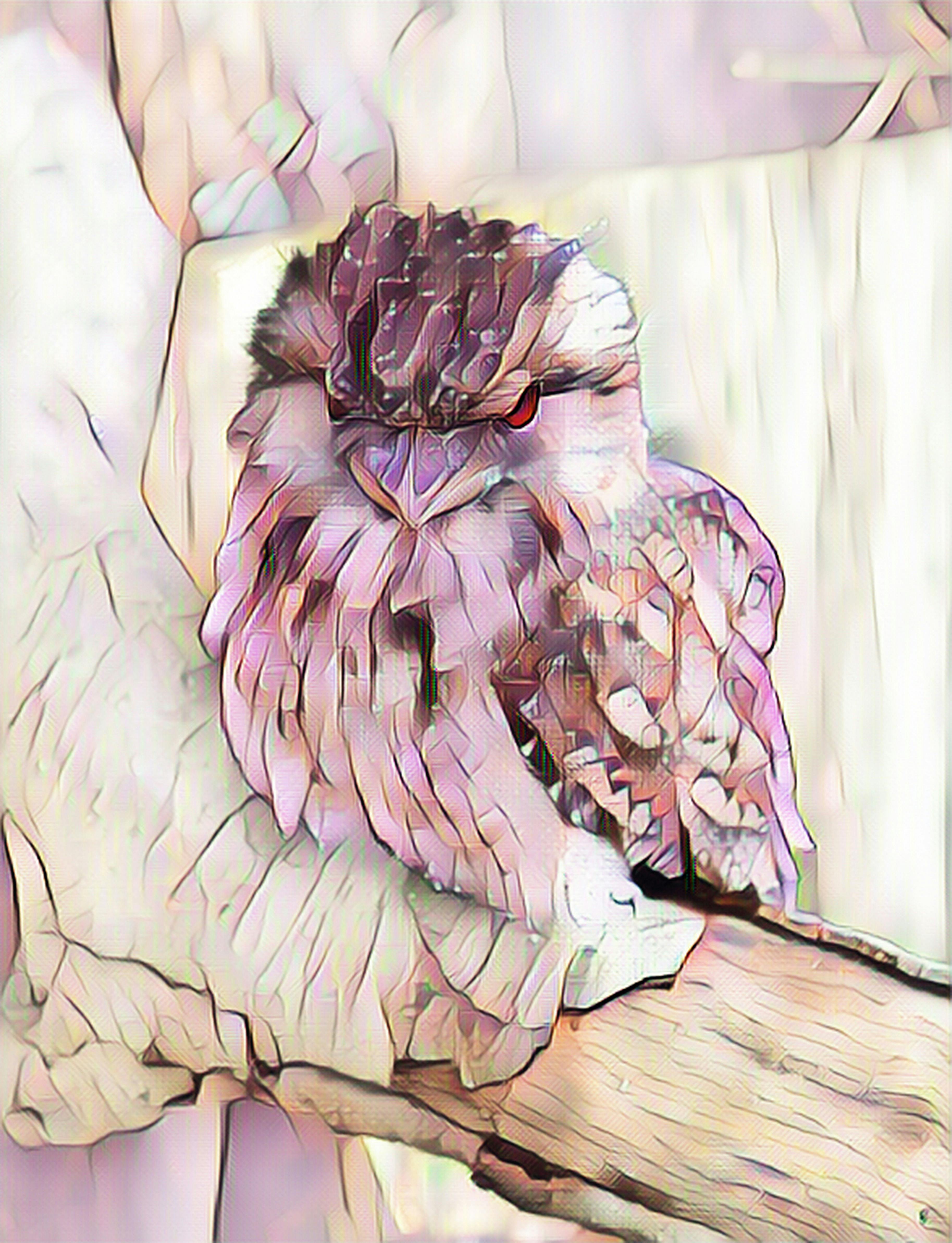 Free stock photo of artistic, digital art, owl
