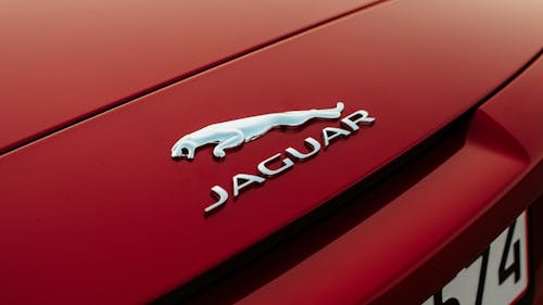 Photos gratuites de fermer, jaguar, logo