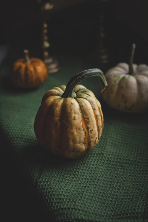 Foto profissional grátis de abóboras, alimento, celebração