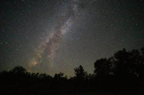 Free A breathtaking view of the Milky Way galaxy shining over a dark forest in Nova Scotia, Canada. Stock Photo