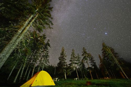 Free A serene camping scene under a star-filled sky in a forest in Nova Scotia. Stock Photo