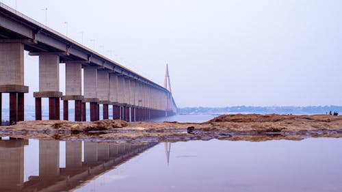 Darmowe zdjęcie z galerii z amazonas, cheia, dry river